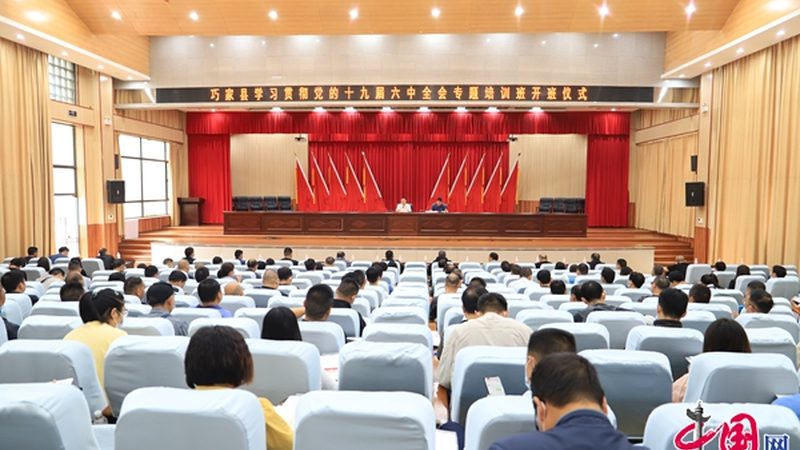 面试技巧全解析：如何轻松应对职业培训讲师资格证面试